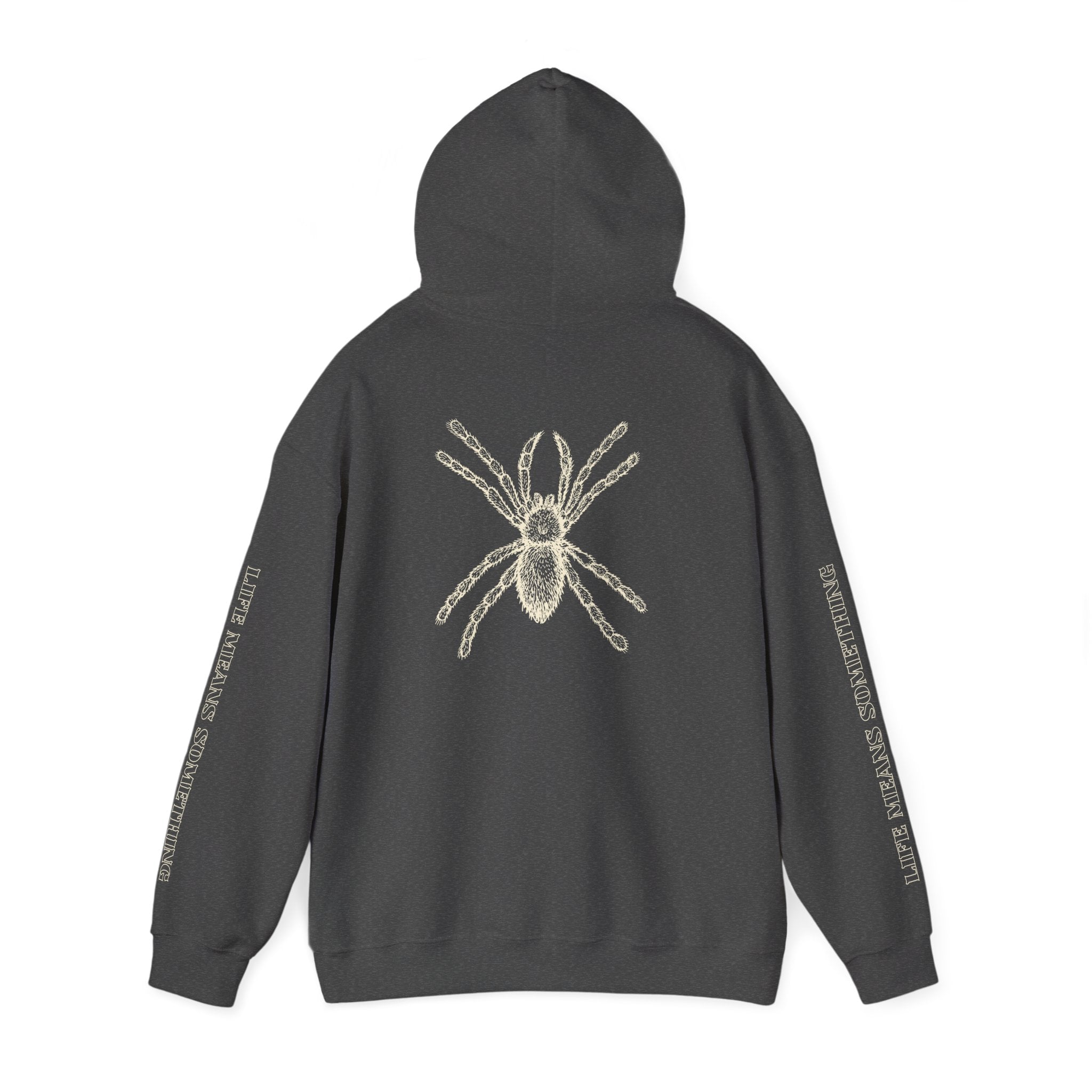 Spider Graphic Hoodie