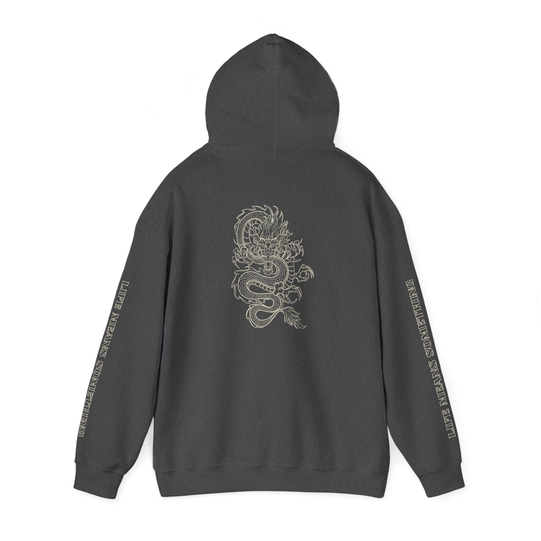 Dragon Graphic Hoodie